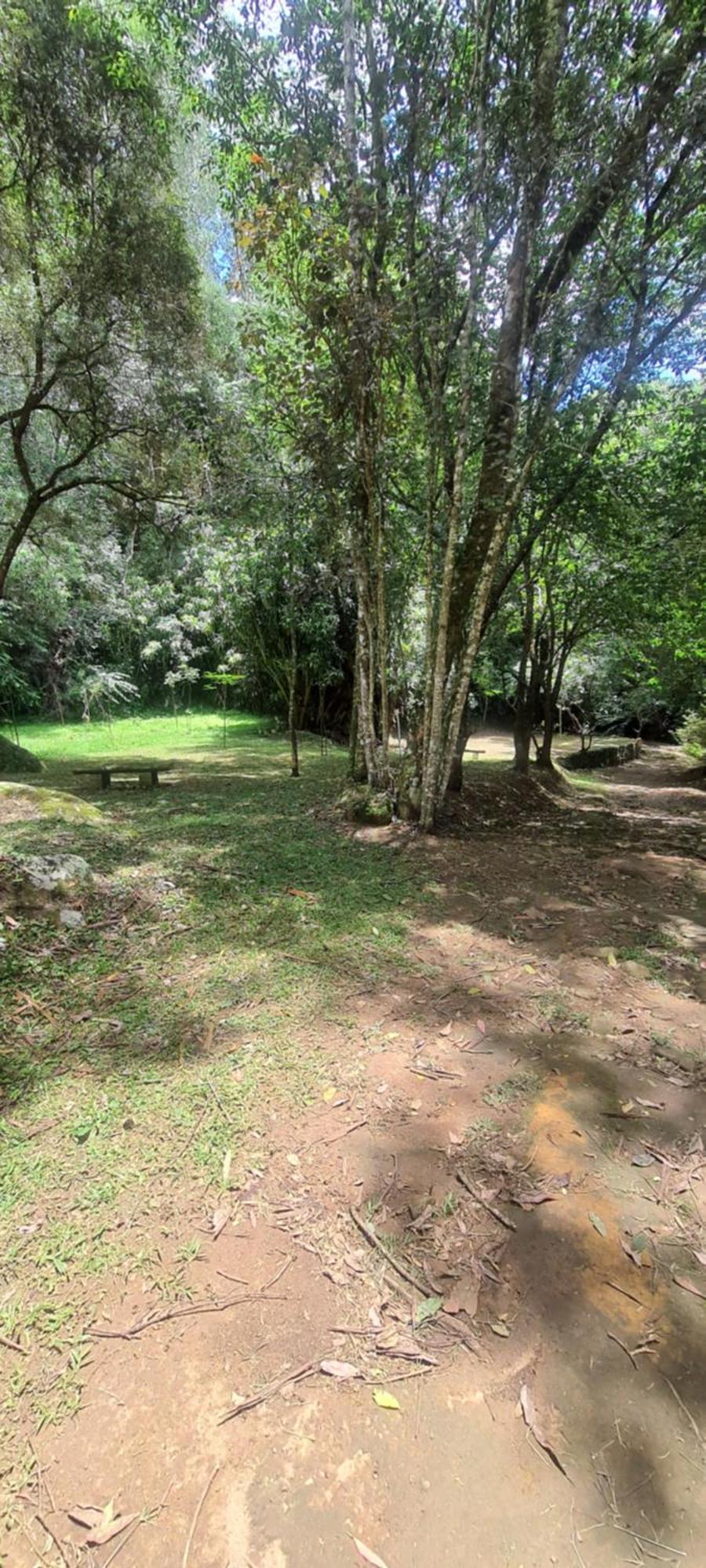 Ferienwohnung Ap Centro Cascatinha Prox Parque Nova Friburgo Exterior foto